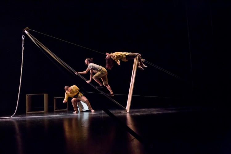 Acrometria por Alexandre Nunis