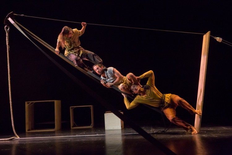 Acrometria por Alexandre Nunis