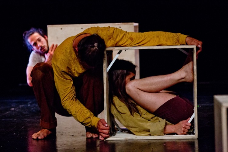 Acrometria por Alexandre Nunis