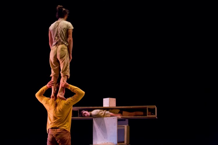 Acrometria por Alexandre Nunis