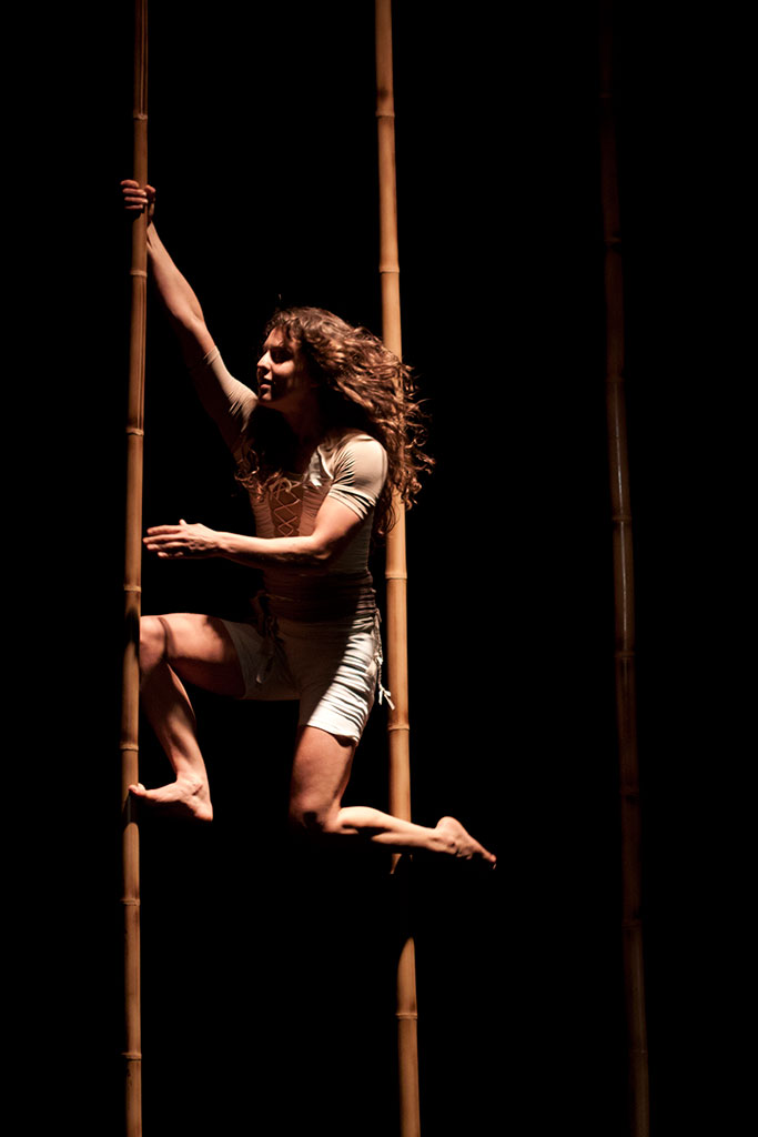 TEIA - Daniel Lavenere